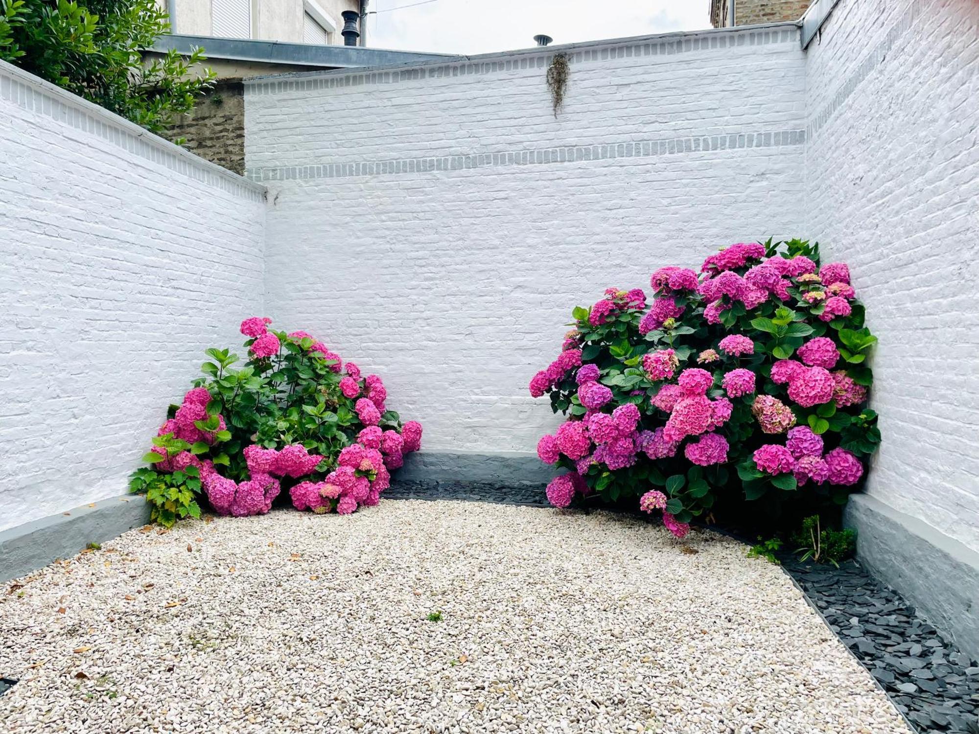 Jardins De Castille - 200M De La Gare - Home Cinema Amiens Ngoại thất bức ảnh